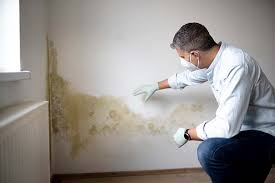 Best Commercial Mold Inspection  in Cottonde, AL